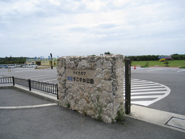 �ׂ̌���_�p�C�i�K�}�r�[�`