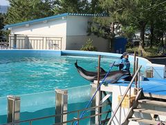 �̂Ƃ��ܐ����ق̎ʐ^2