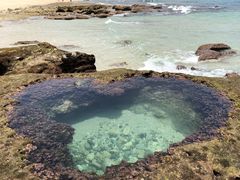 nCrXJX̃~bhiCgcA[ւ̓eʐ^1