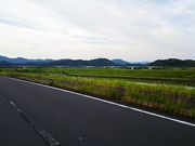 �˂�����񂳂�̎l���\�勴�̓��e�ʐ^2