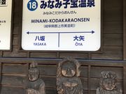 Vg̓{܂^񒆉q̓̓eʐ^2