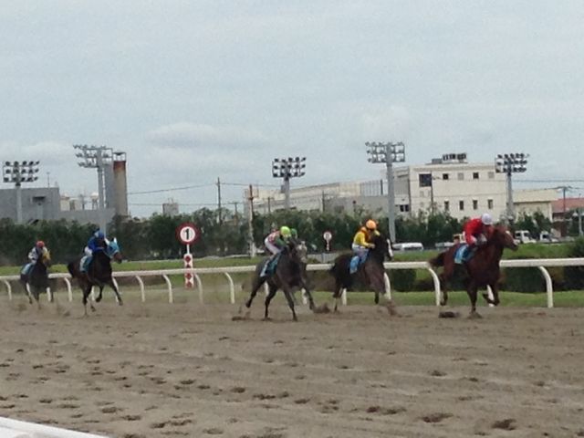 �ڂ̑O�Ō���Ɛ�������_��苣�n��