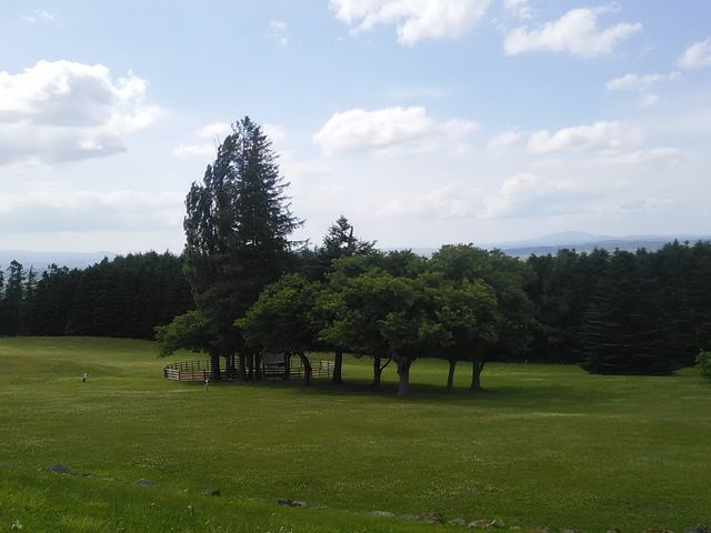 ������肩��̓W�]_�C�����̋u�Z���g�E�}�[�K���b�g����