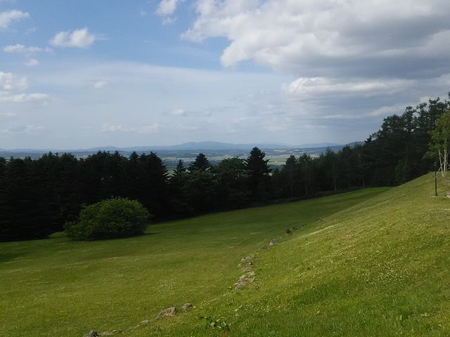 ������肩��̓W�]�Q_�C�����̋u�Z���g�E�}�[�K���b�g����