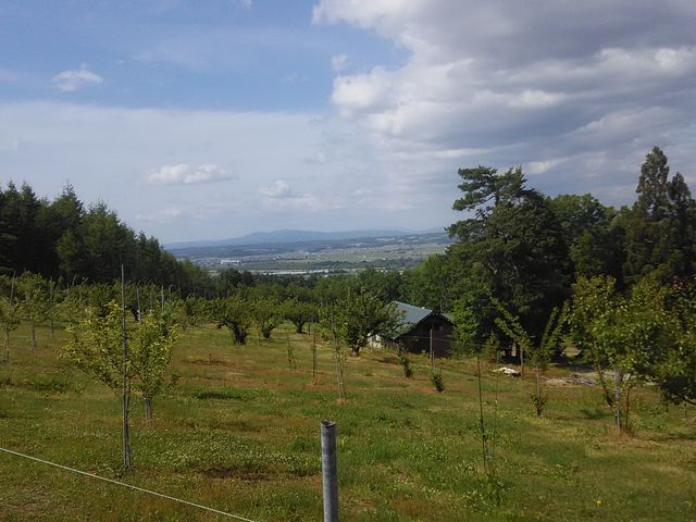 ܂ōs߂ɓo⓹̌iF_C̋uZgE}[Kbg