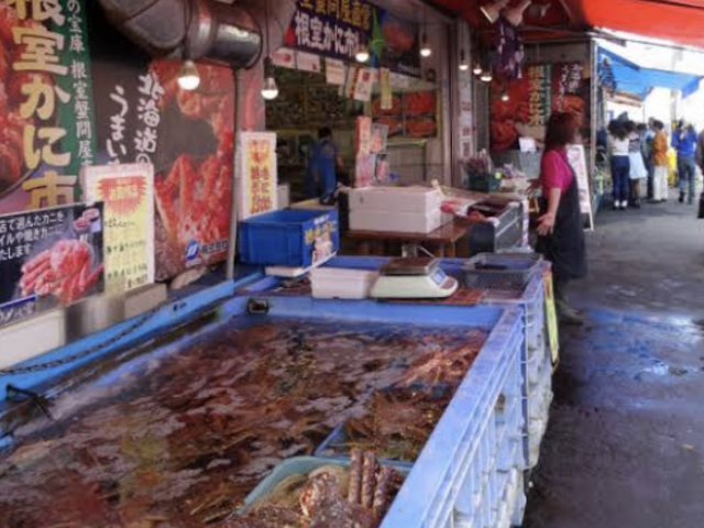 �y�����ł�_���������s���O�s��