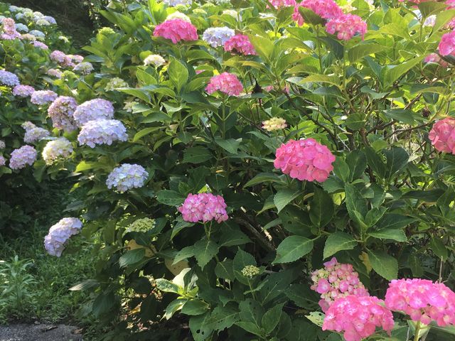 ���^��_���^��