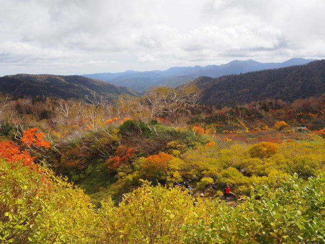 ����Ȍi�F�����āA�R�o�����Ă݂����Ǝv���n�߂܂���_��ፂ�����Q