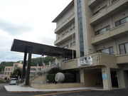 �g�V���[����̃e���b�Z�I�����W�g�C�̓��e�ʐ^1