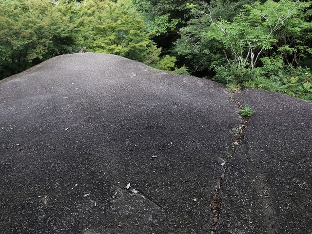 ��ȂǂȂ��̂Œ��ӁI_�S�����