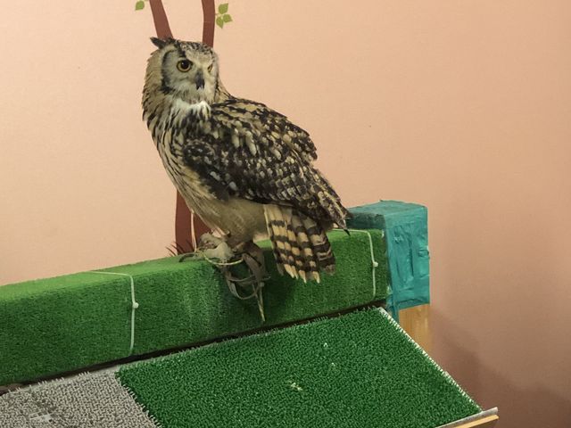 tNEBłB_ANAtHXg@-̐X-