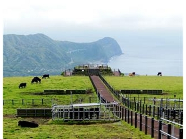 ���ԏꂩ��u�ӂꂠ���q��W�]��v��]��_�ӂꂠ���q��W�]��