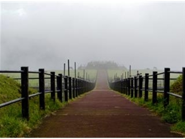 �u�ӂꂠ���q��W�]��v�ւ̓��B_�ӂꂠ���q��W�]��