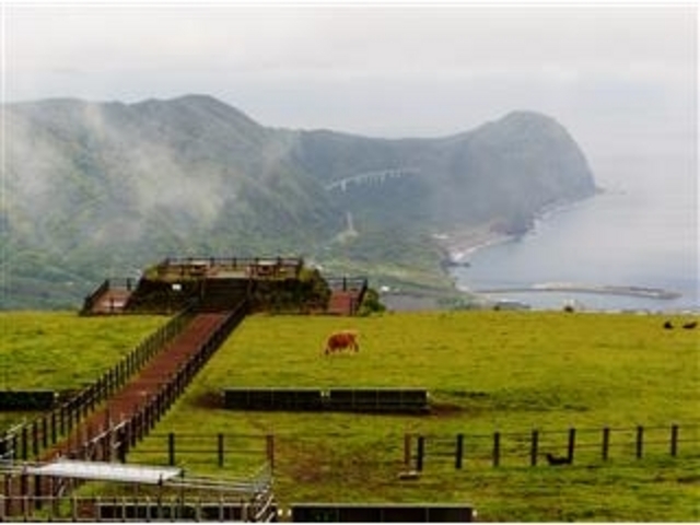 �ӂꂠ���q��x�e����K����W�]���]�ށB(���⋴��������)_�ӂꂠ���q��W�]��