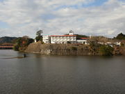 ݂΂񂳂̋TRze̓eʐ^1