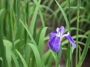 jkammy07̐サ傤Ԍ̃niVEu̓eʐ^2