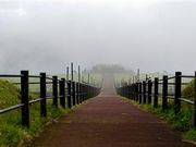 ÐhF̂ӂꂠqW]̓eʐ^2