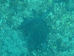 񂳂̉vKChNuւ̓eʐ^1