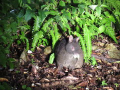 Aihĩ~bhiCgcA[ւ̓eʐ^1