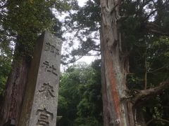 キッドさんの来宮神社（静岡県伊豆市）の投稿写真1