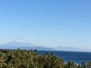 Lbh̃fBXJo[p[NĒÓVȊwق̓eʐ^1