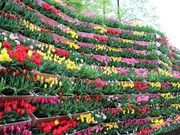 E102̓vg̃`[bv̓eʐ^1