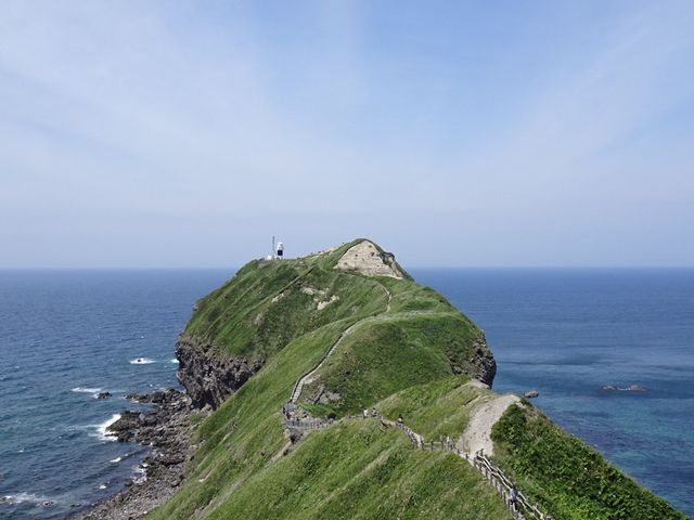 ������������_�_�Ж�