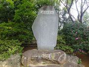 pon񂳂̔t̕w̓eʐ^1