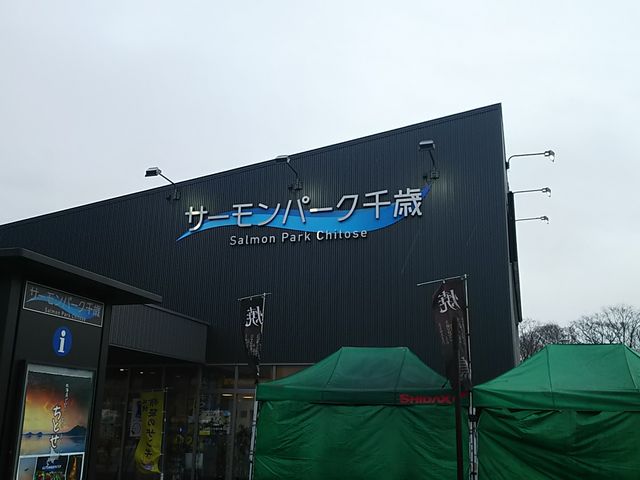 ���̉w �T�[�����p�[�N���_���̉w �T�[�����p�[�N���