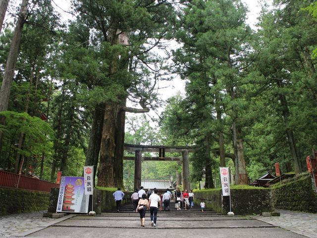 �������Ƌ{�Q��_�����R