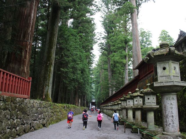 ��r�R�Q��_�����R