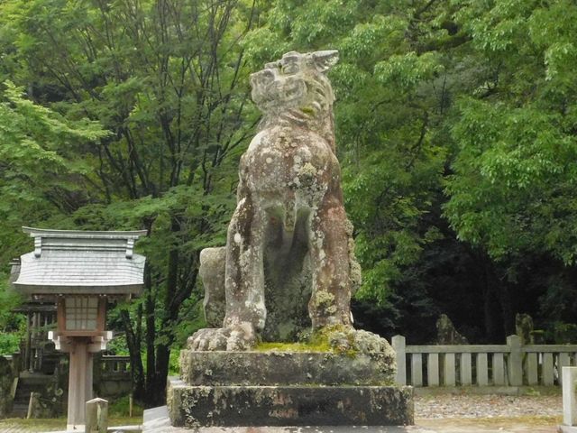 ����_�򕌌욠�_��