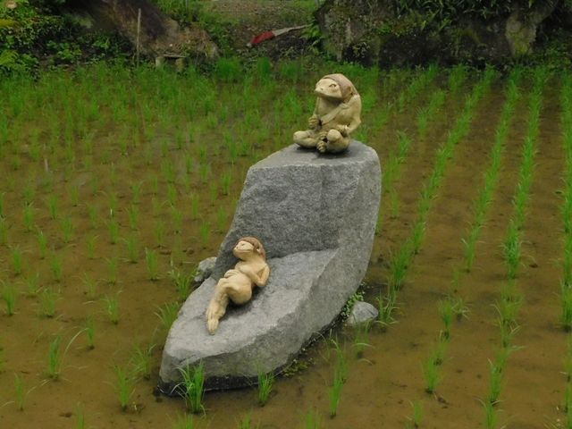 �����ɂ��鏬���ȓc��ڂ̐^�񒆂̐΂ŉ͓����x��ł��܂��B_�򕌌욠�_��