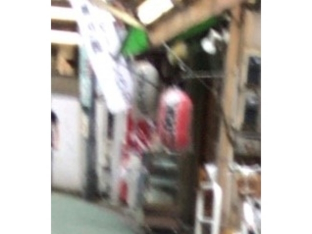 ��₳��̒��؂��� �΂��̓��e�ʐ^1