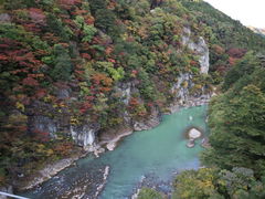 񂳂̋S{|݋ւ̓eʐ^1