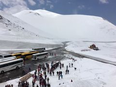 poporon̗RAy[gyxRzւ̓eʐ^3