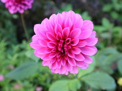 񂳂ȍ oN CObV K[fւ̓eʐ^1