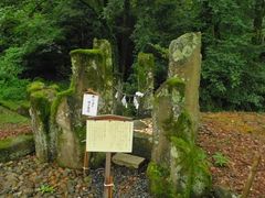 Ƃ˂̊򕌌욠_Ђւ̓eʐ^1