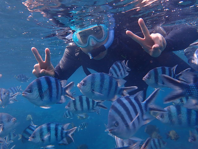 �������߂�_�V�[�}�E���g�_�C�u