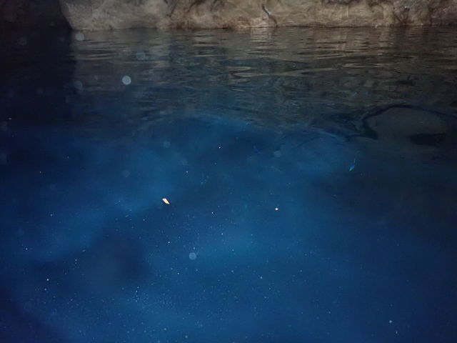 �̓��A_�V�[�}�E���g�_�C�u