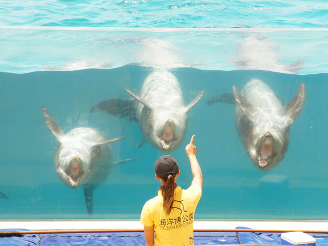 ����C���J_������ЃZ�����A���u���[