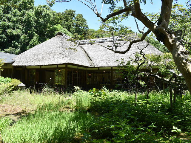 �����̎ʐ^_���@(��q��)