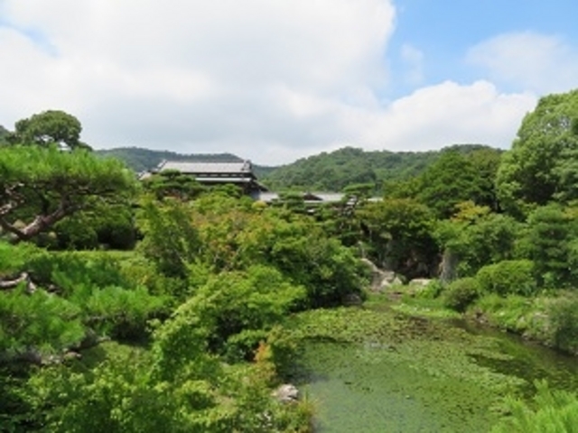 �ї����뉀�@�Ђ傤����r_�ї������٥�ї����뉀