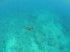 [}[̉vKChNuւ̓eʐ^1