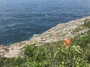 炳炳񂲂̎cW]̓eʐ^3