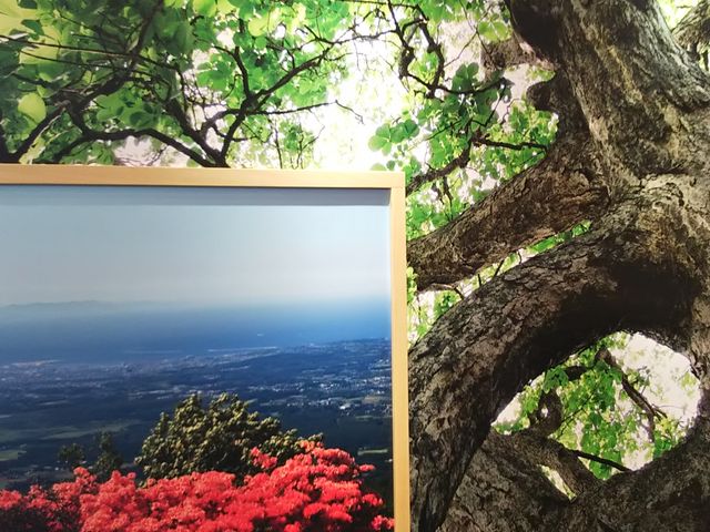 ݂˂̂炭莞v_퍷C݃CtH[VZ^[