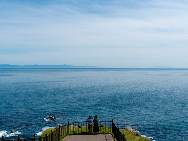 �V�C���ǂ���Ή��k�����E�Ìy������������_���Җ�