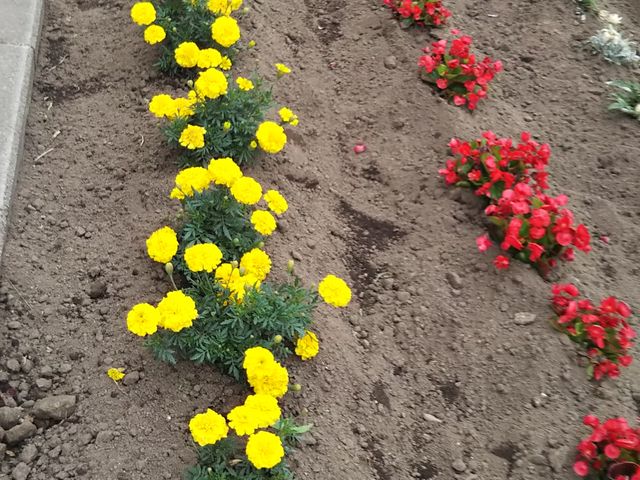 䂫̖kwRsXnt[[h̓eʐ^1