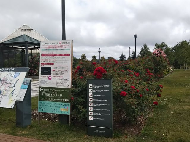 �����͂��Ȃ�L���ł�_����݂�������o����