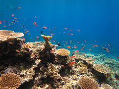 megkazamã}T[rX@pb\ւ̓eʐ^1